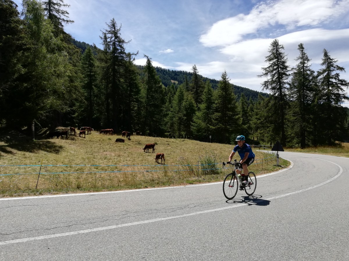 Cronoscalata al Col de&nbsp;Joux